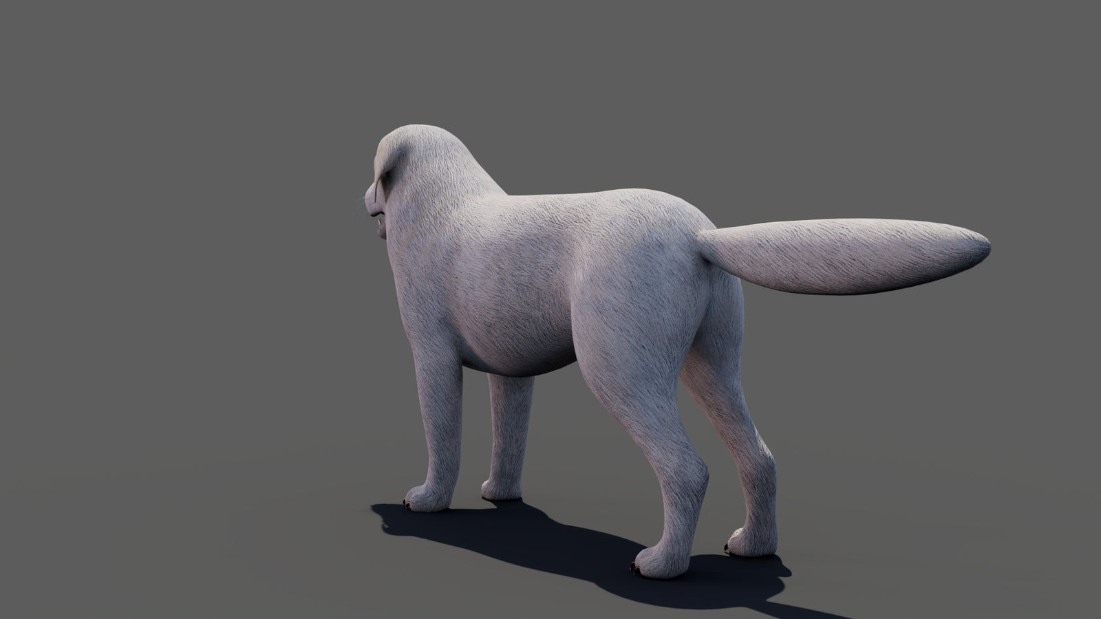 Great Pyrenees Dog 3D Model 360° view 1 frame 31