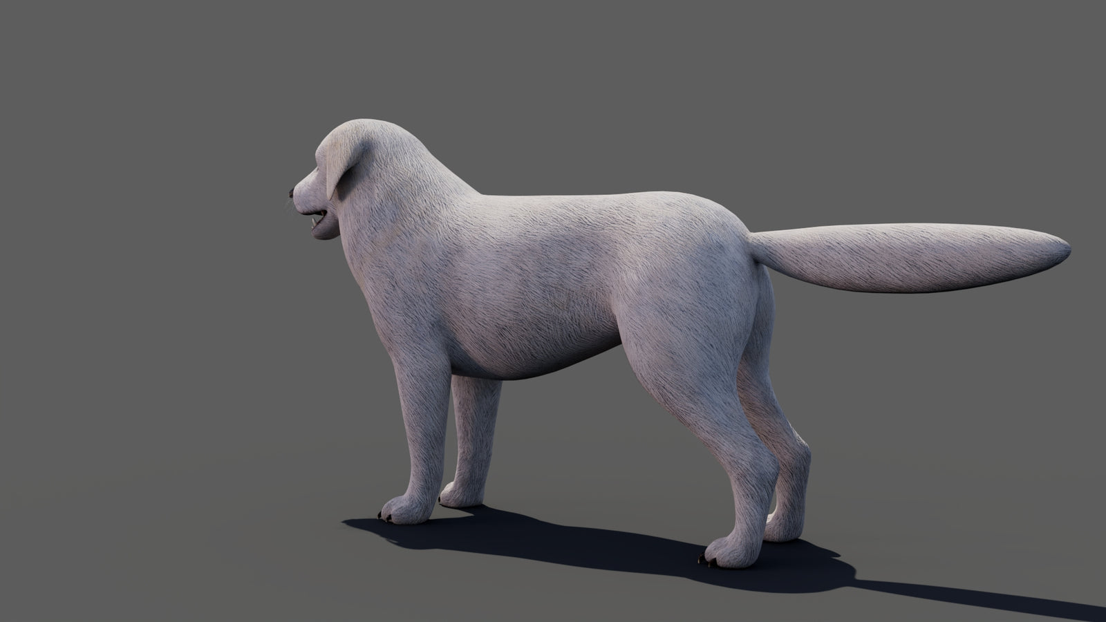 Great Pyrenees Dog 3D Model 360° view 1 frame 33