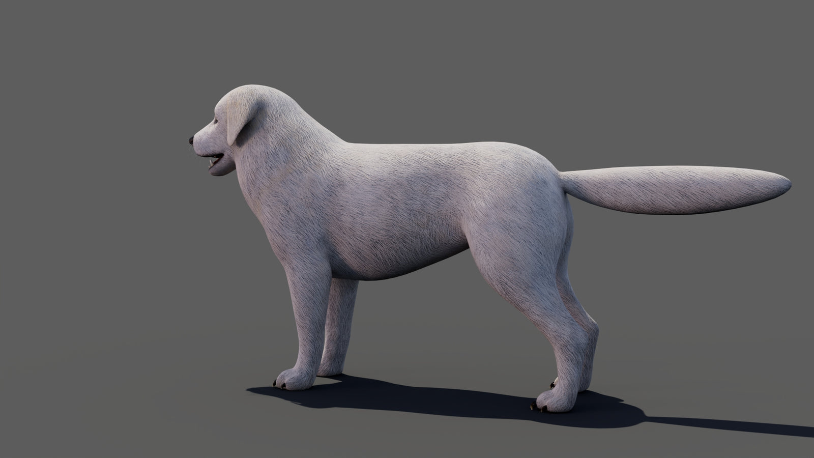 Great Pyrenees Dog 3D Model 360° view 1 frame 34