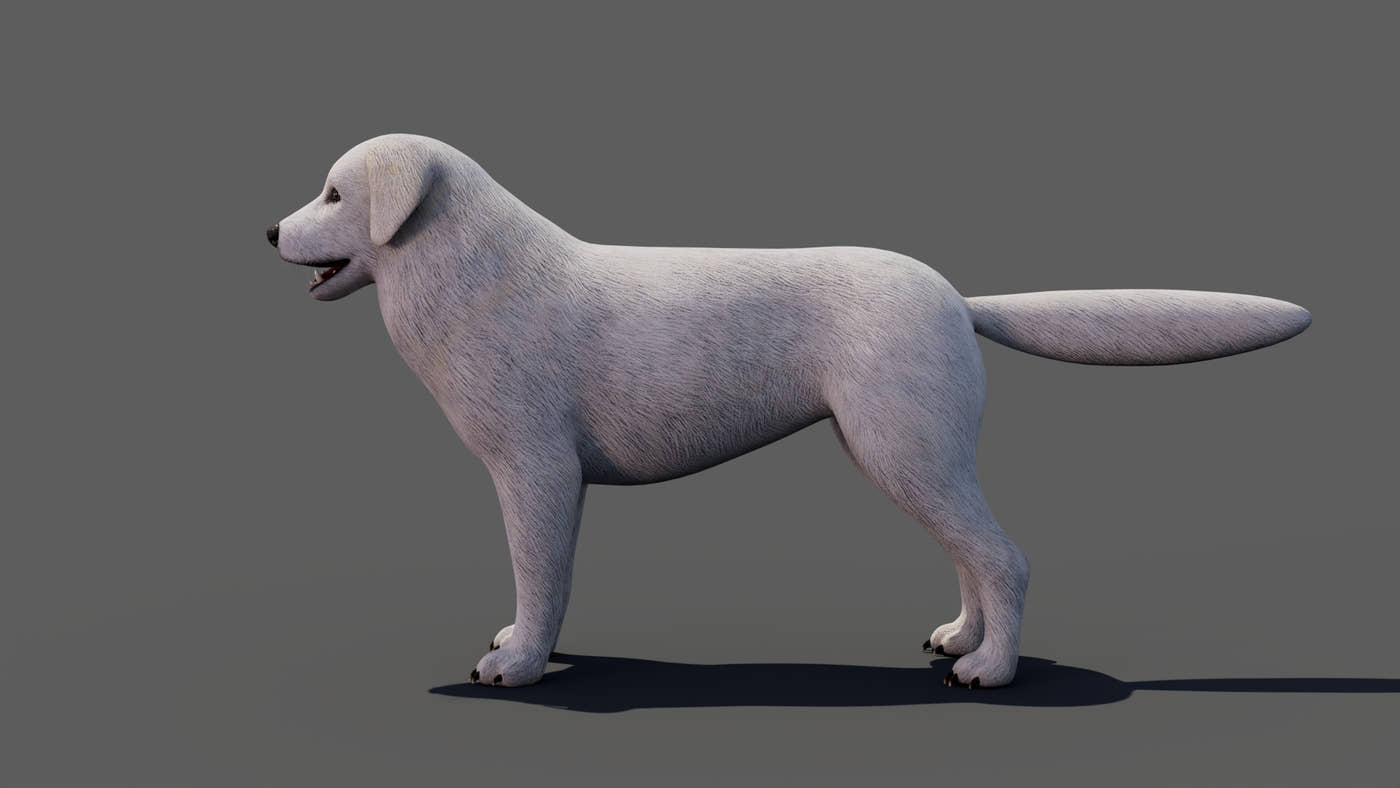 Great Pyrenees Dog 3D Model - 360 Degree View