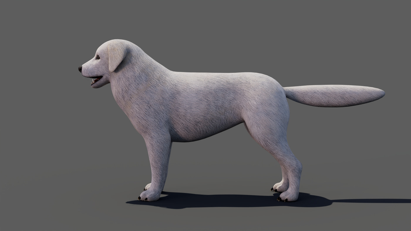 Great Pyrenees Dog 3D Model - 360 Degree View