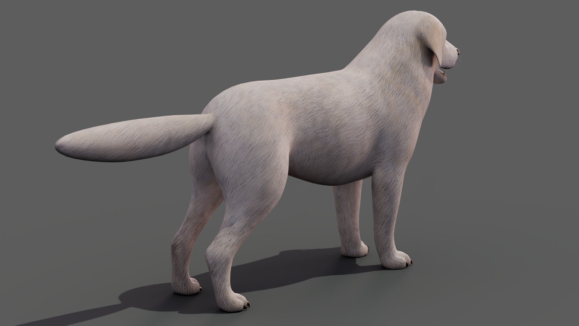 Great Pyrenees Dog 3D Model for Download