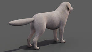 Great Pyrenees Dog 3D Model for Download Thumbnail