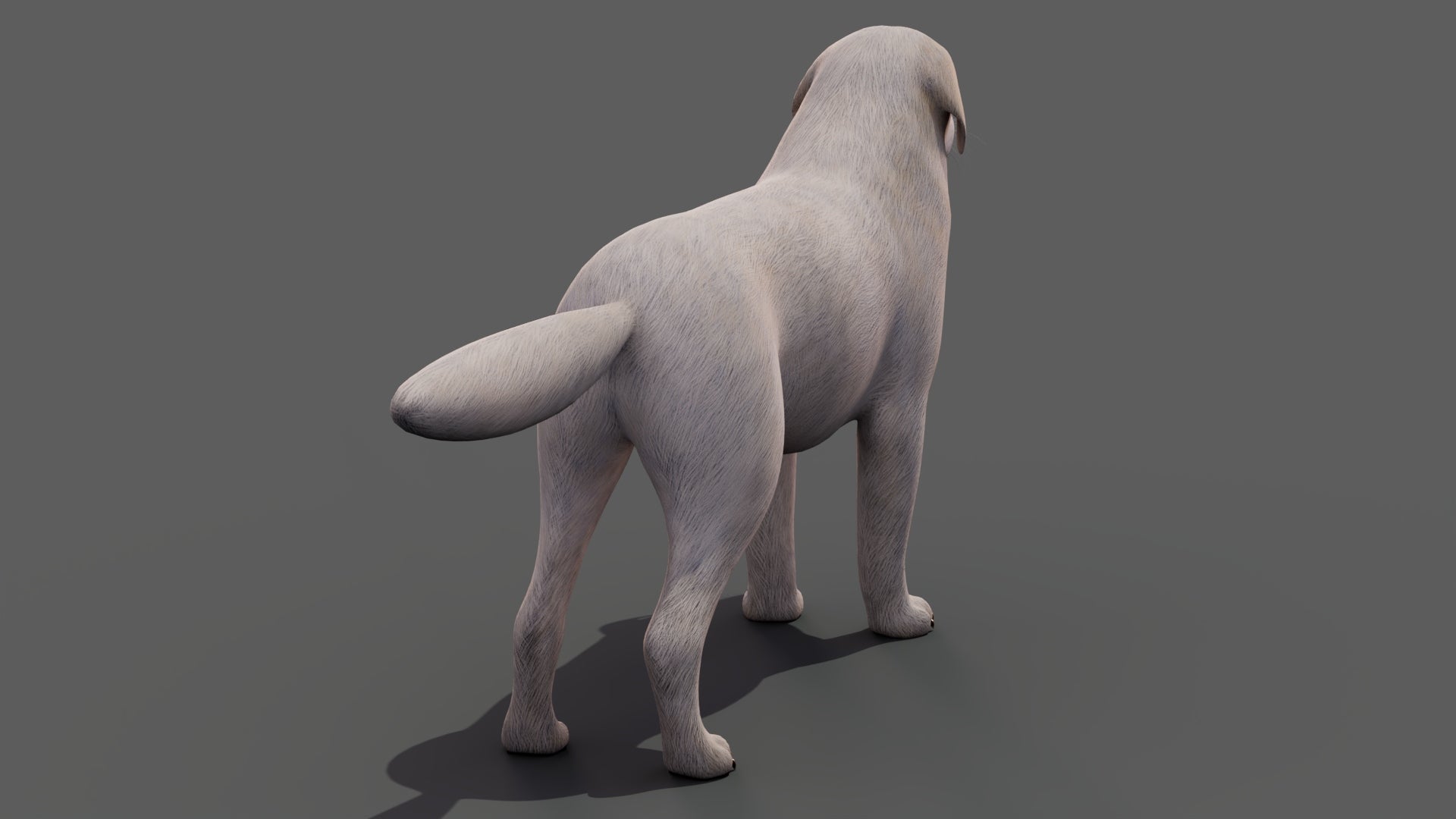 Great Pyrenees Dog 3D Model for Download