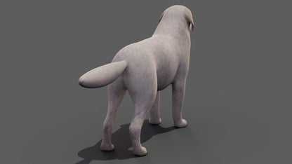 Great Pyrenees Dog 3D Model for Download