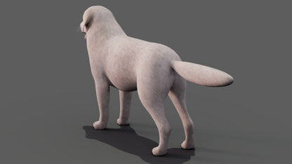 Great Pyrenees Dog 3D Model for Download