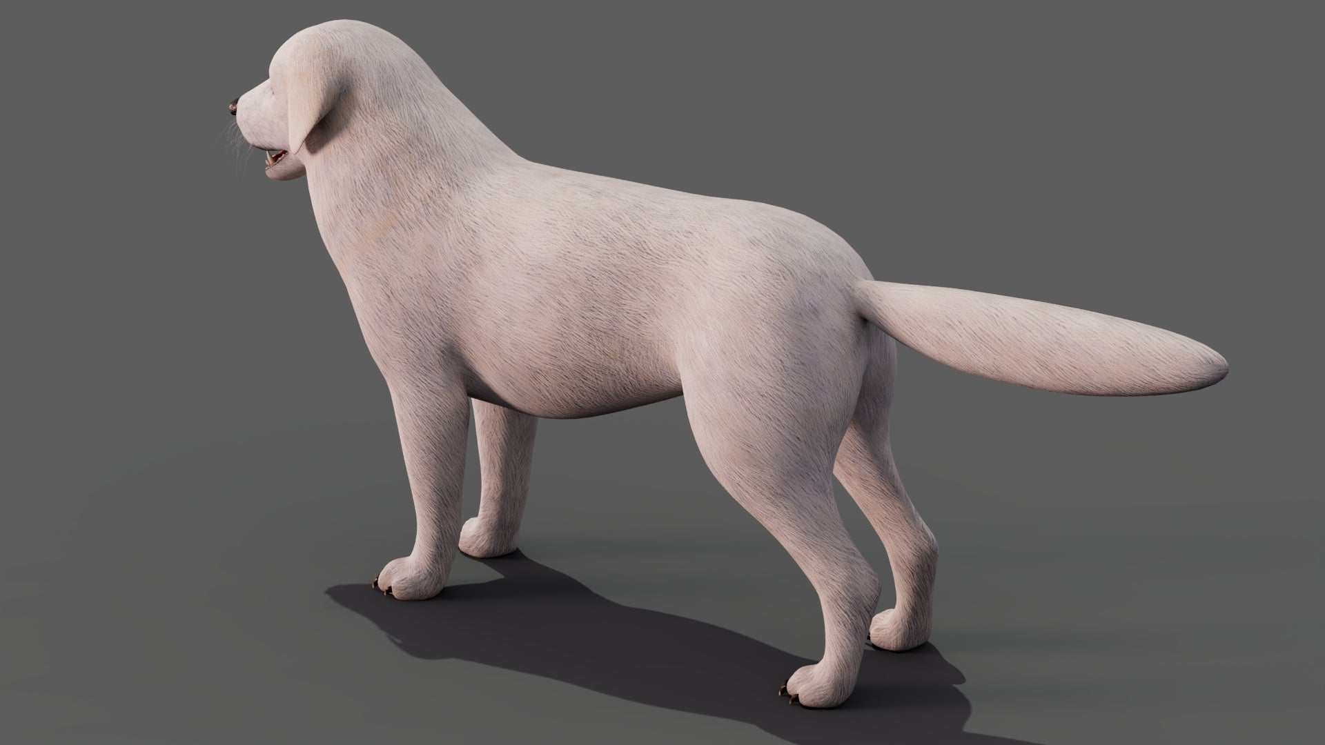 Great Pyrenees Dog 3D Model for Download