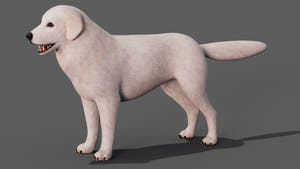 Great Pyrenees Dog 3D Model for Download Thumbnail