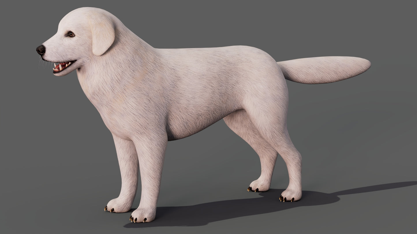 Great Pyrenees Dog 3D Model for Download