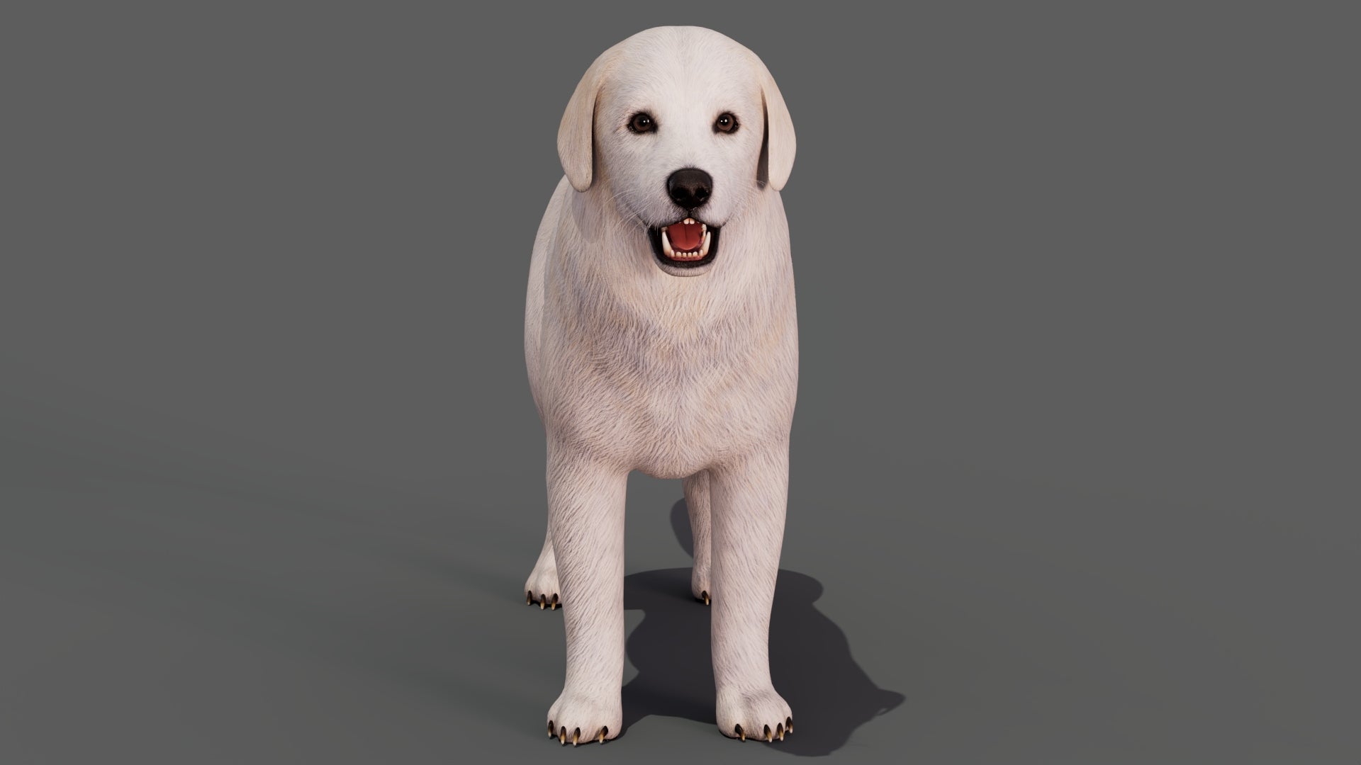 Great Pyrenees Dog 3D Model for Download