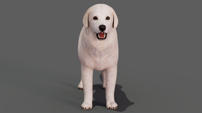Great Pyrenees Dog 3D Model for Download