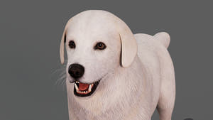 Great Pyrenees Dog 3D Model for Download Thumbnail