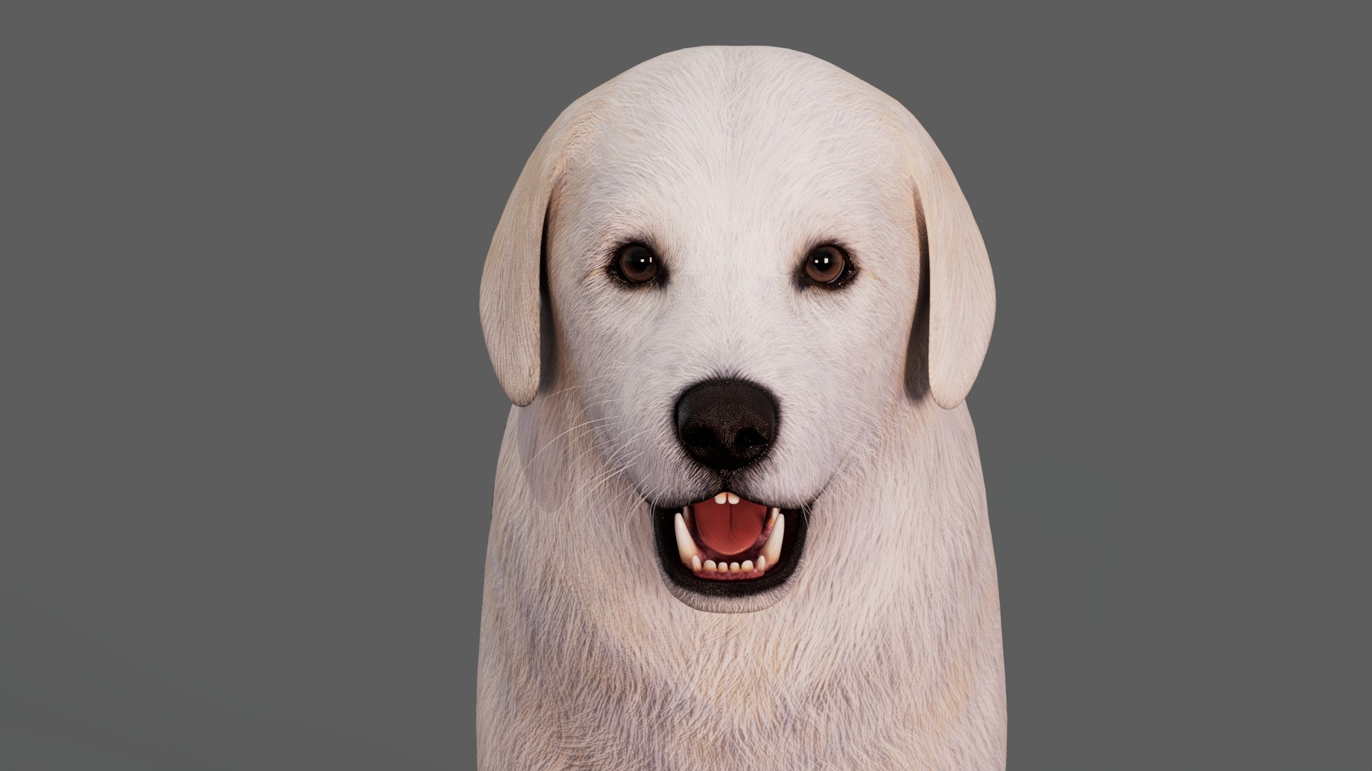 Great Pyrenees Dog 3D Model for Download