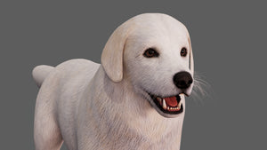 Great Pyrenees Dog 3D Model for Download