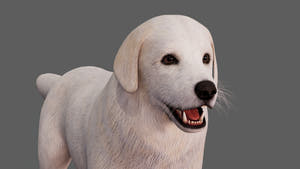 Great Pyrenees Dog 3D Model for Download Thumbnail