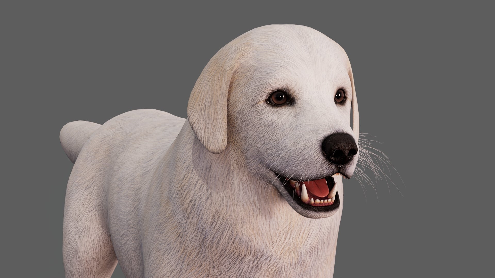 Great Pyrenees Dog 3D Model for Download
