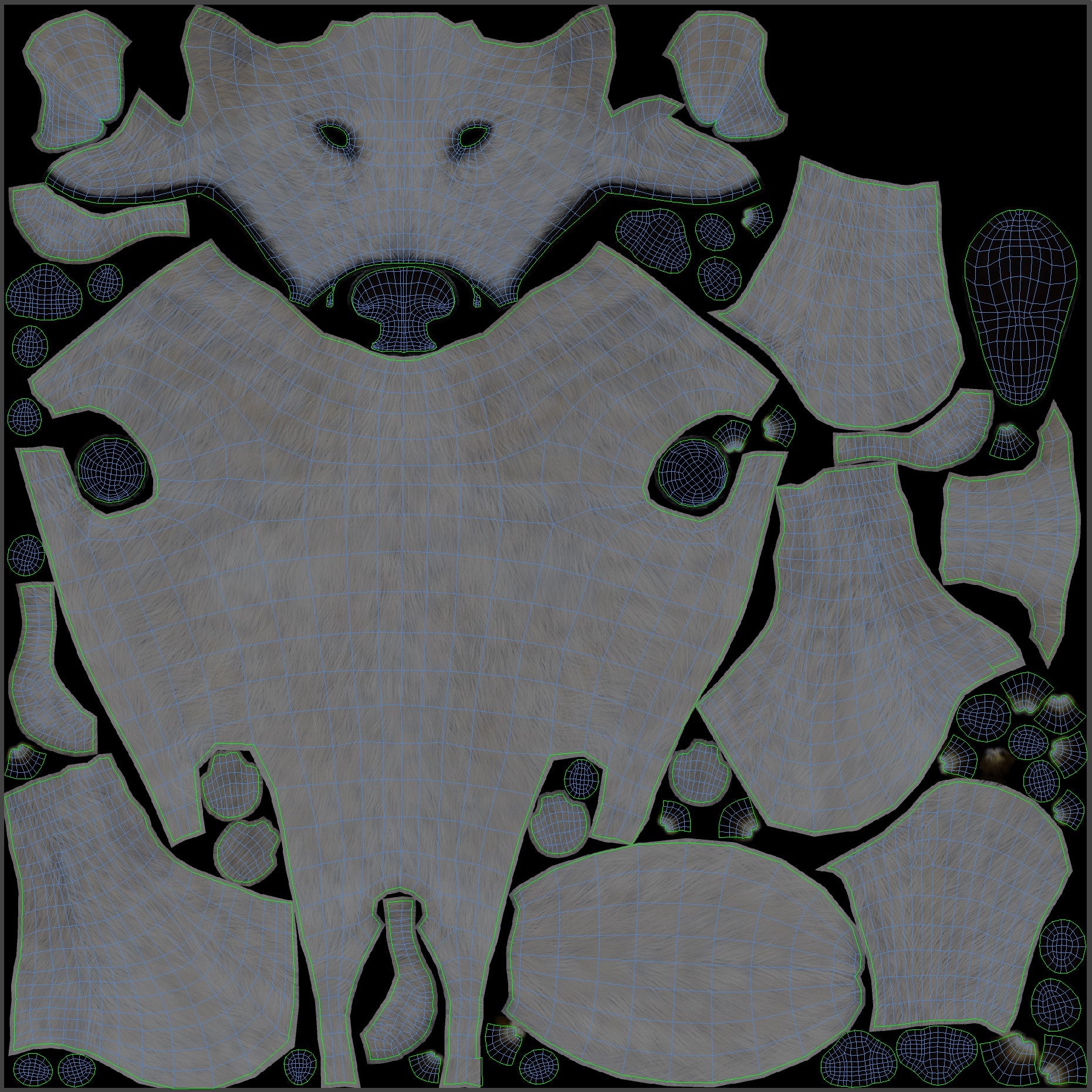 Great Pyrenees Dog 3D Model Body UVs