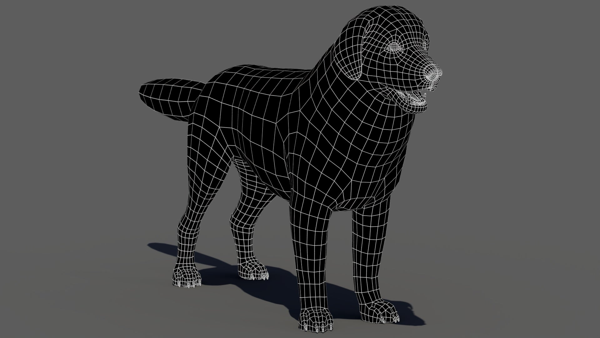 Great Pyrenees Dog 3D Model Wireframe View Subdivision Level 0