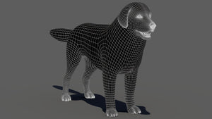 Great Pyrenees Dog 3D Model Wireframe View Subdivision Level 1