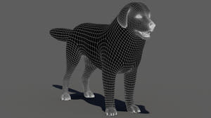 Great Pyrenees Dog 3D Model Wireframe View Subdivision Level 1 Thumbnail