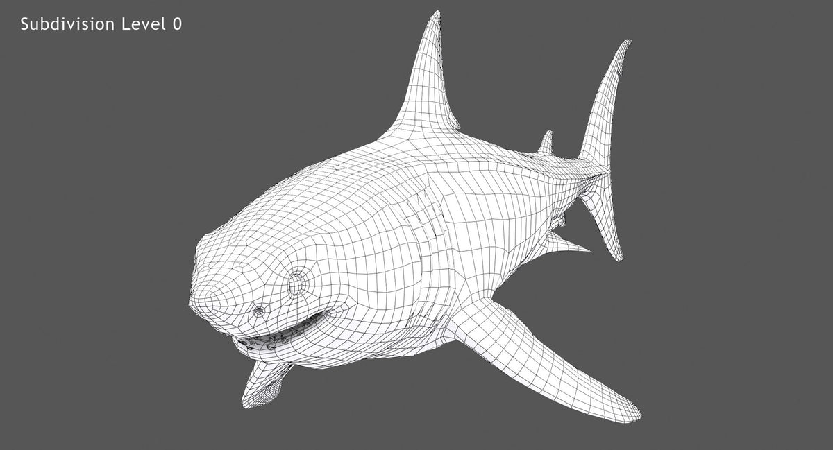 Great White Shark 3D Model Wireframe View 0
