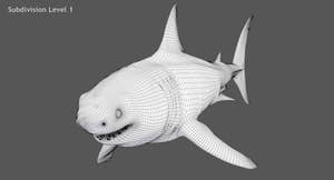 Great White Shark 3D Model Wireframe View 1 Thumbnail