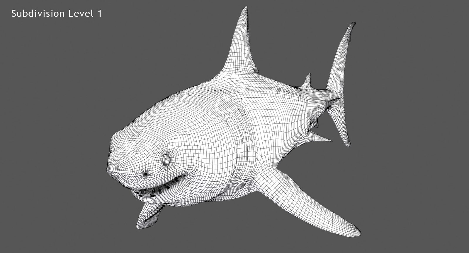 Great White Shark 3D Model Wireframe View 1