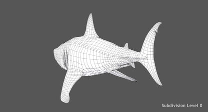 Great White Shark 3D Model