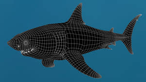 Great White Shark 3D Model Wireframe View 0 Thumbnail