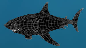 Great White Shark 3D Model Wireframe View 0 Thumbnail