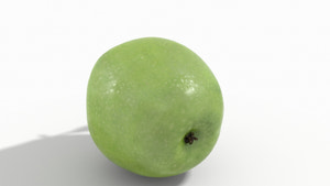 Green Apple 3D Model Thumbnail