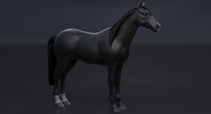Black Horse 3D Model Thumbnail