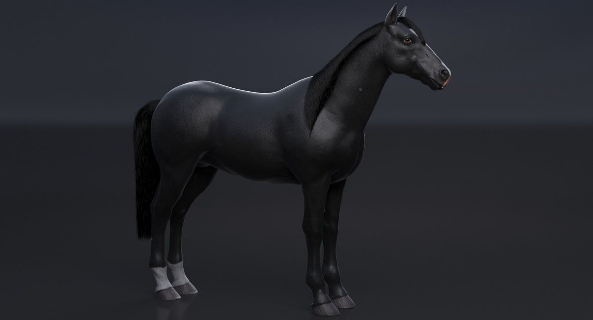 Black Horse 3D Model