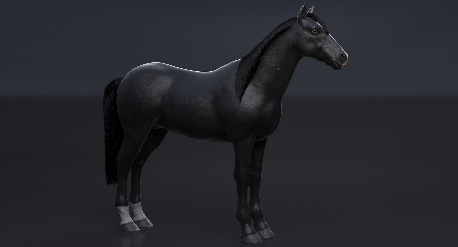 Black Horse 3D Model