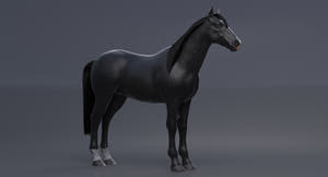 Horse Black 3D Model Thumbnail