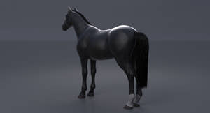Horse Black 3D Model Thumbnail