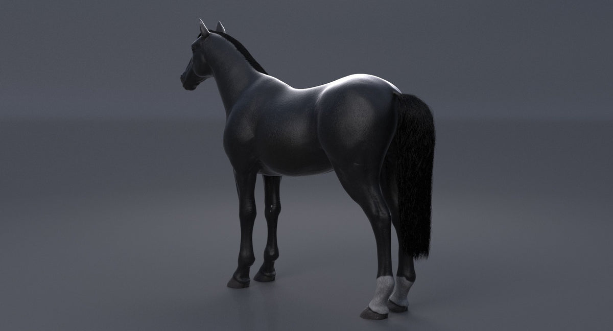 Horse Black 3D Model