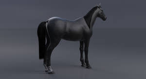 Horse Black 3D Model Thumbnail