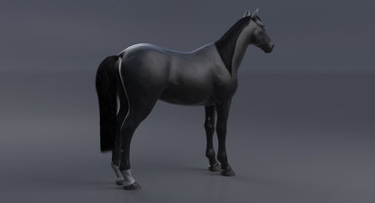 Horse Black 3D Model