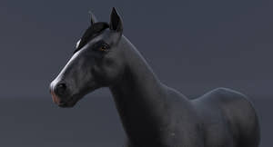 Horse Black 3D Model Thumbnail