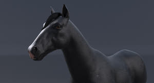 Horse Black 3D Model Thumbnail