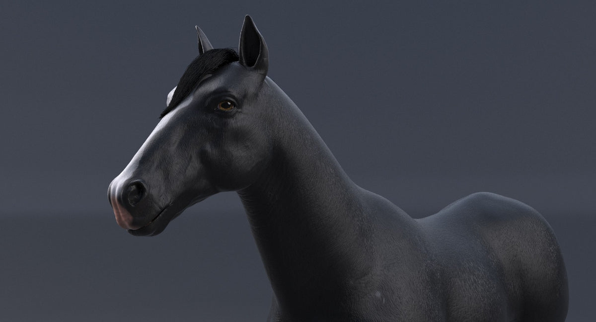 Horse Black 3D Model