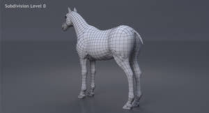 Horse Black 3D Model Thumbnail