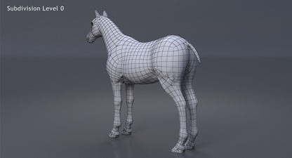 Horse Black 3D Model