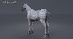 Horse Black 3D Model Thumbnail