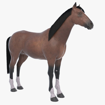 Brown Horse 3D Model V-Ray