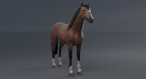 Horse Brown 3D Model Thumbnail