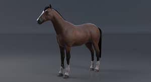 Horse Brown 3D Model Thumbnail