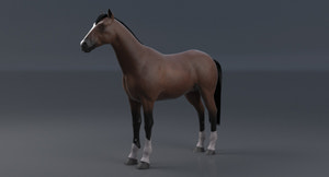 Horse Brown 3D Model Thumbnail