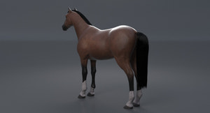 Horse Brown 3D Model Thumbnail